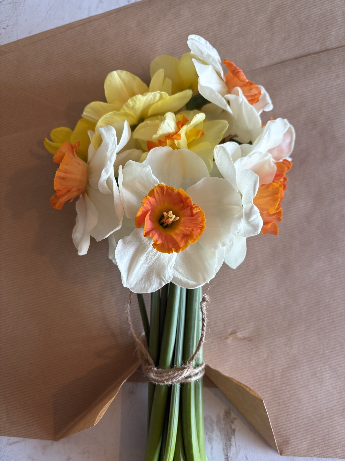 Fancy Daffs.jpg