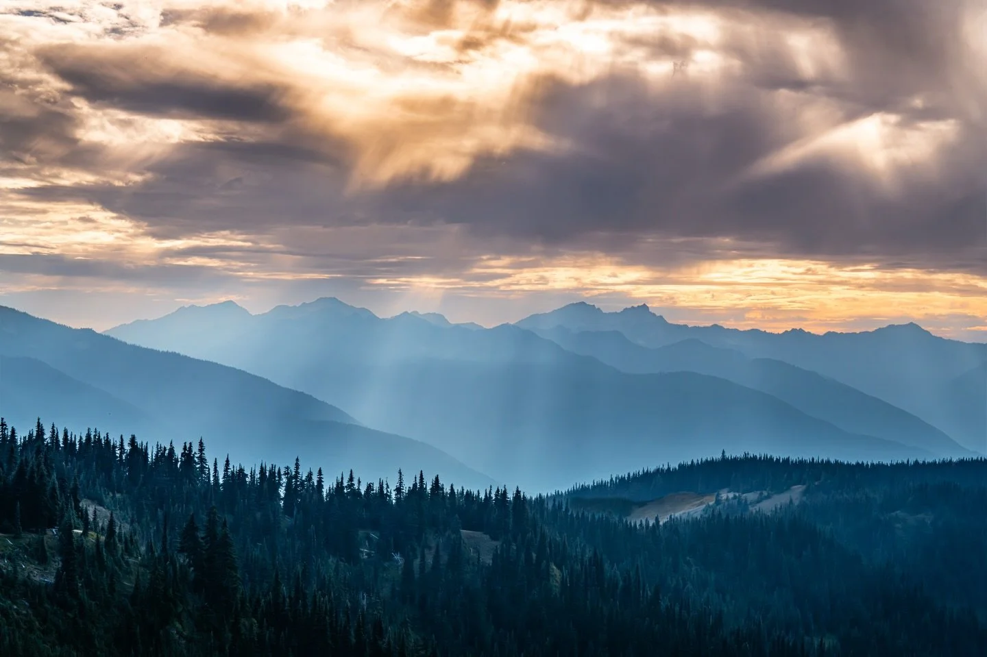 Hurricane Ridge at dusk. 

📍 Olympic National Park, Washington 

#washingtonstate #nationalparksusa #hurricaneridge