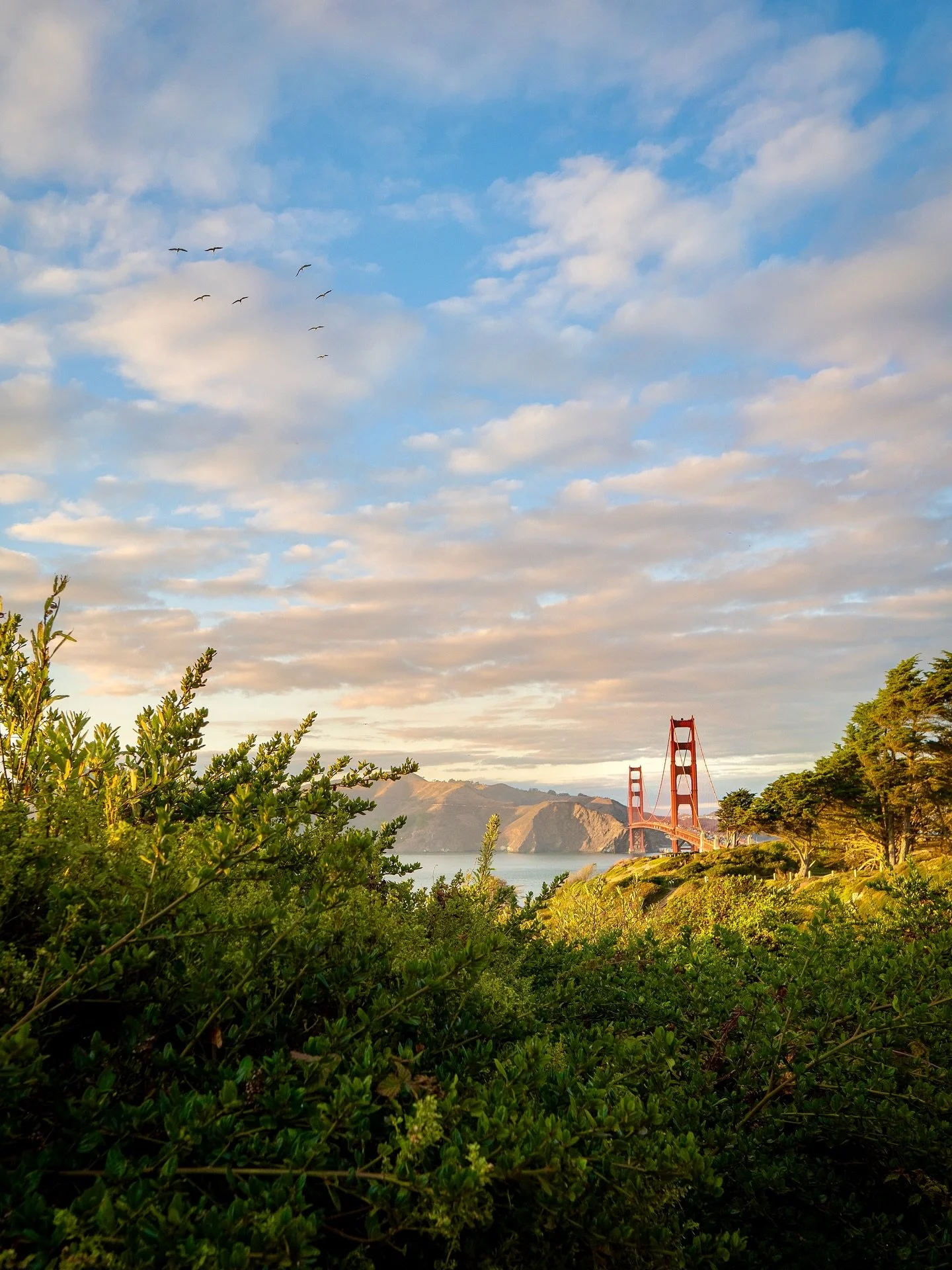 Golden hour at the Golden Gate Bridge. 🌉 ✨ 

#sanfrancisco #goldengate #californiadreaming