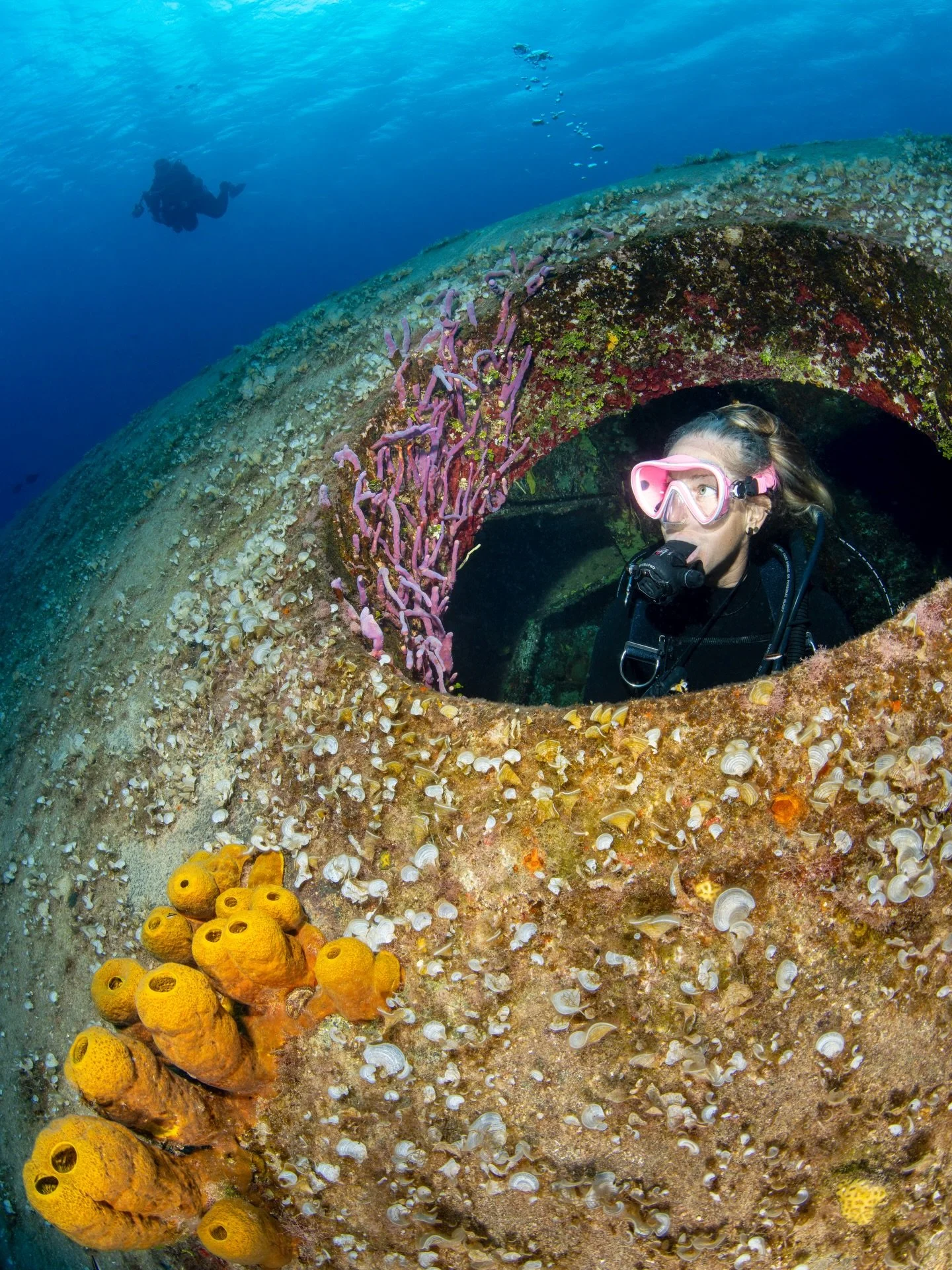 Super informative new show on the @theuwps regarding working with models underwater. After listening, I was encouraged to look back at my pics from Cayman to see where I could have improved. 

This here was one of my favorites from the trip. I had so