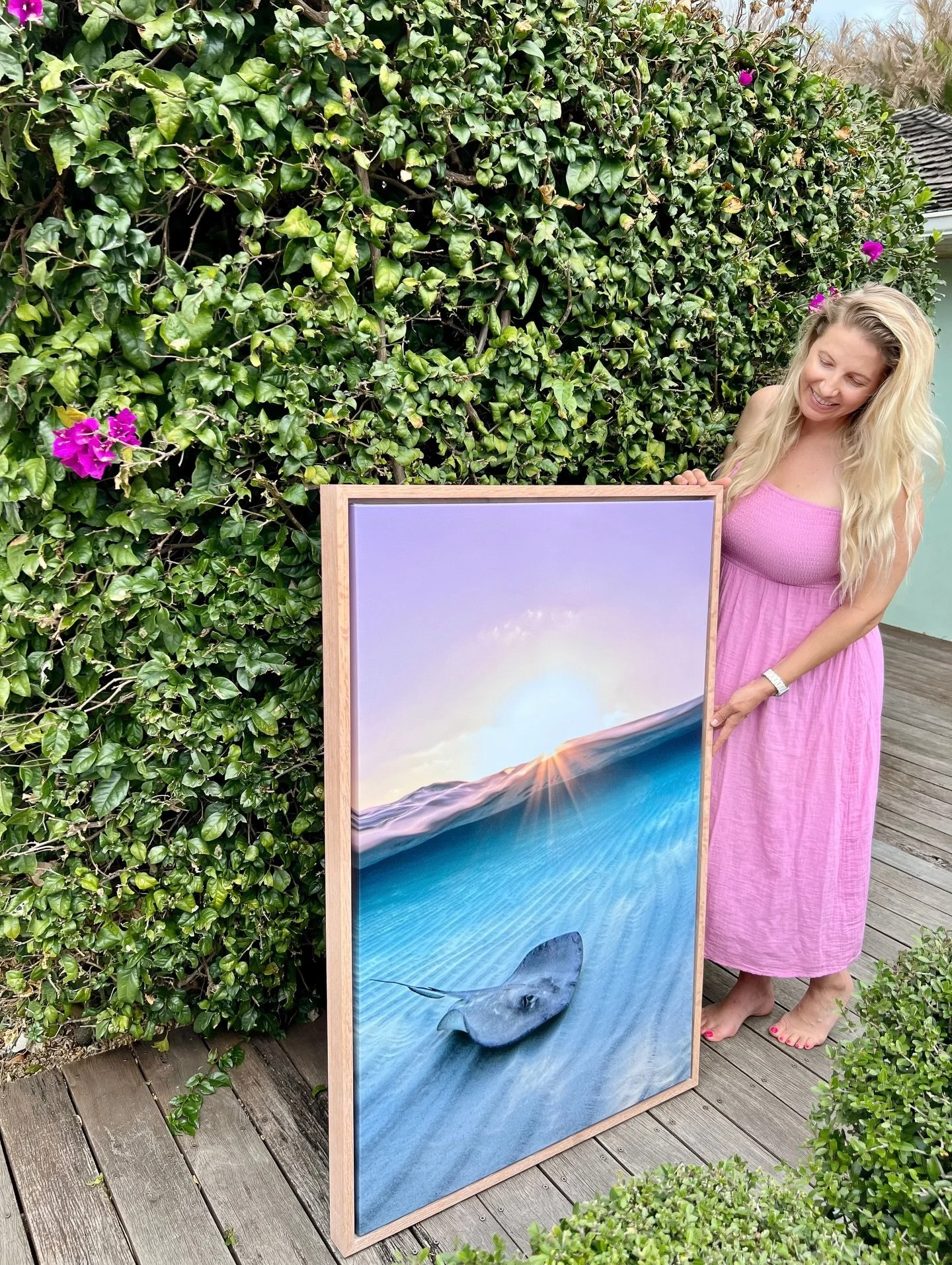 Stingray Sunrise. 🌅 ✨ 🌊 

Captured during a recent trip to Grand Cayman, this image has quickly become my most popular piece of the season. The custom oak floating frame shown here recently found a new home in Fort Myers, and I&rsquo;m already work