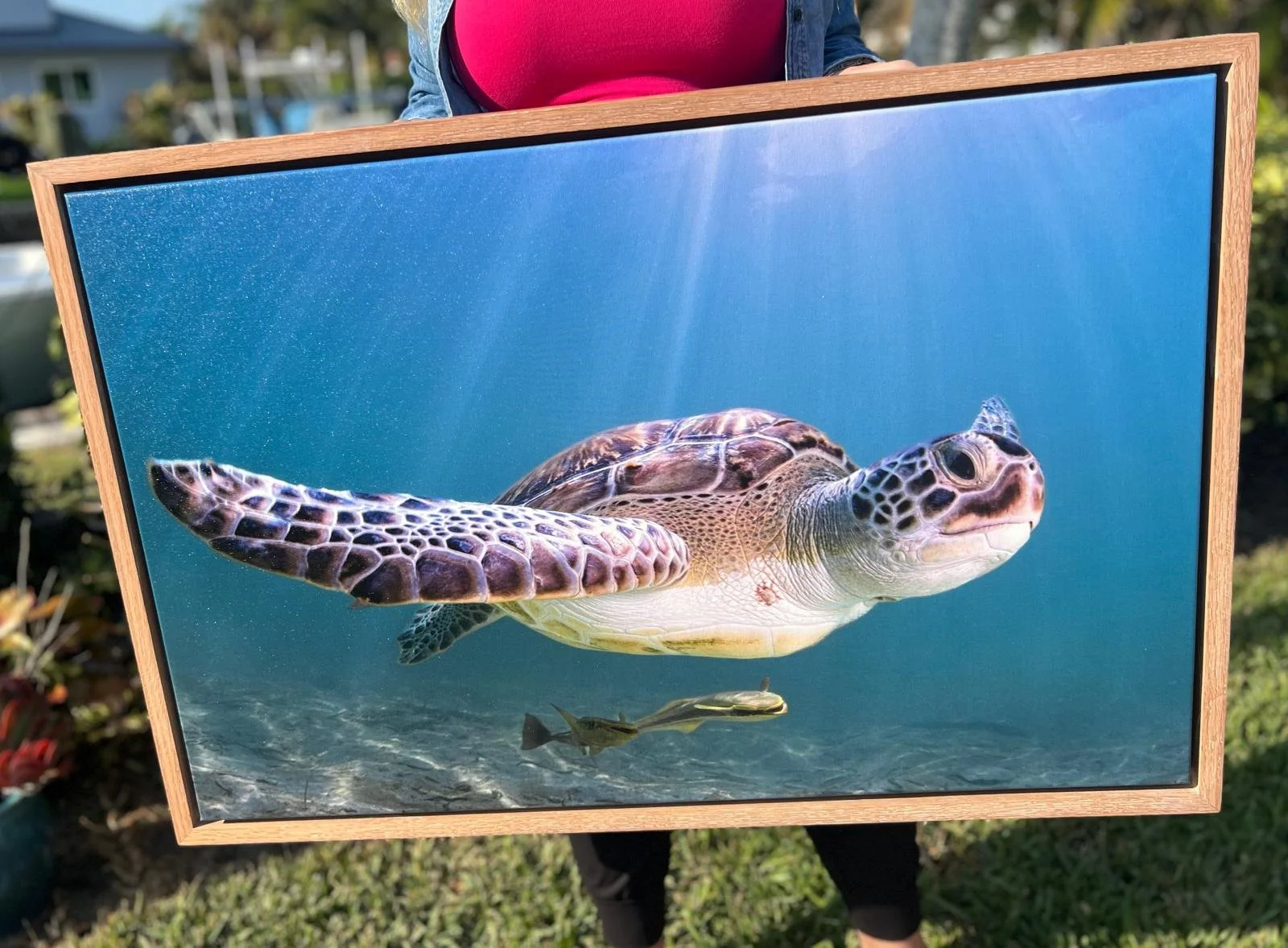 WhatsApp Image 2026-03-25 at 9.58.09 PM (14).jpeg