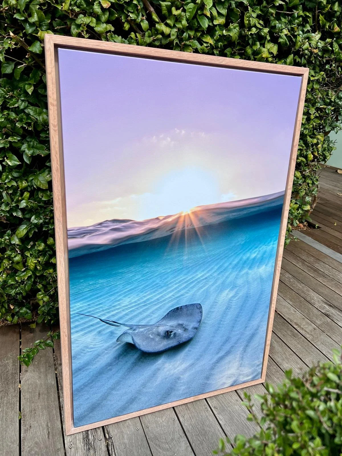 WhatsApp Image 2026-03-23 at 6.17.55 PM.jpeg