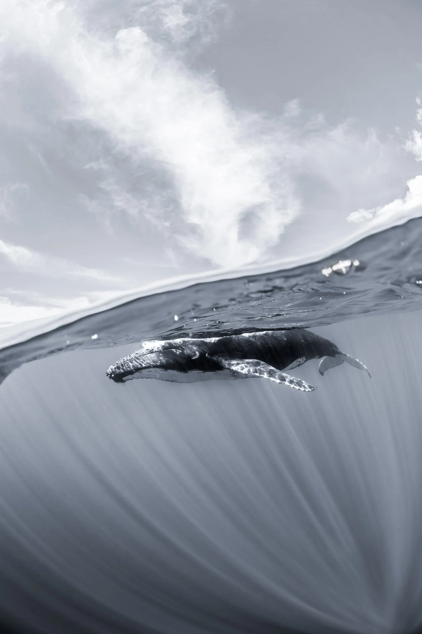 Breath of Light in B&W.jpg