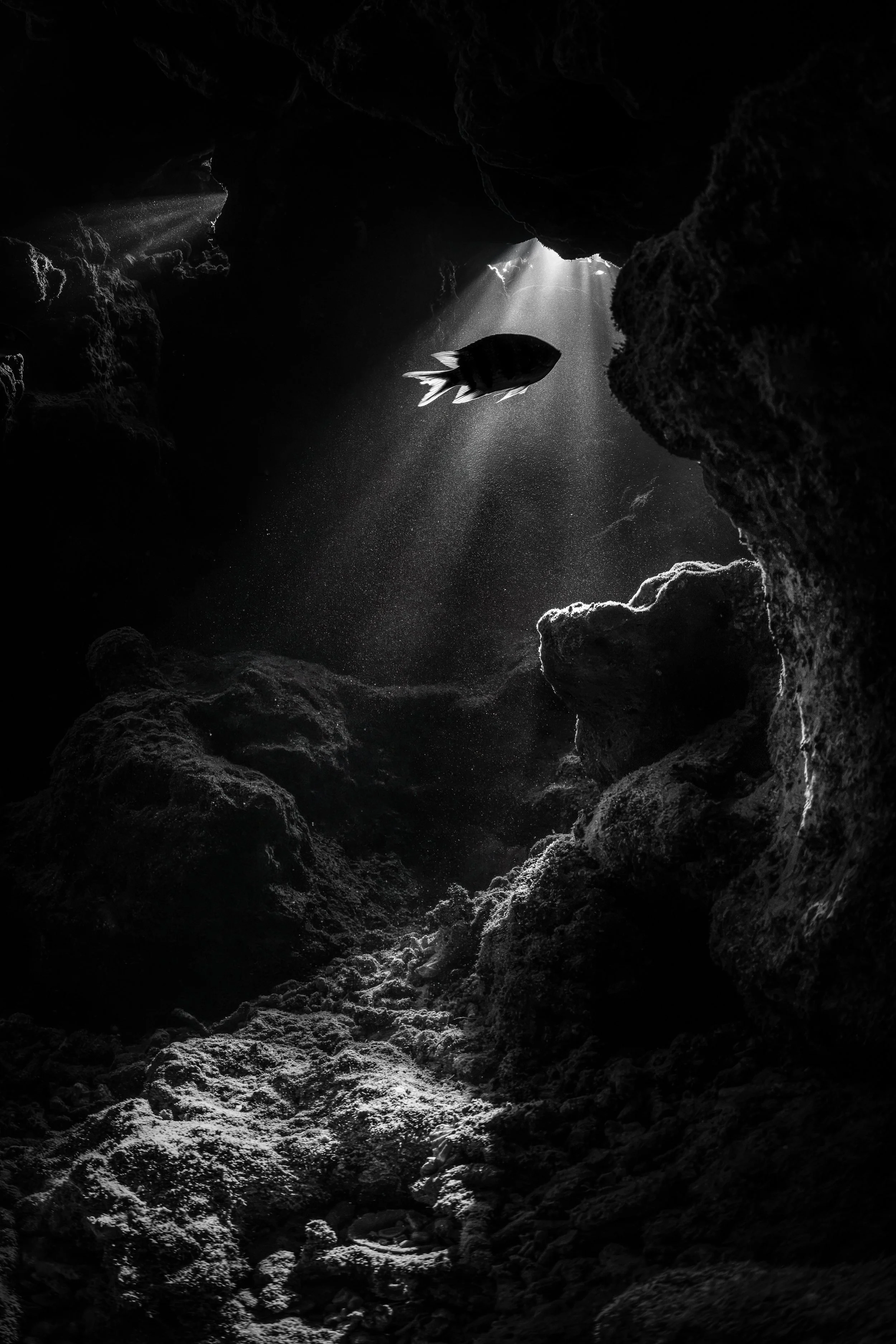 red sea cave.jpg