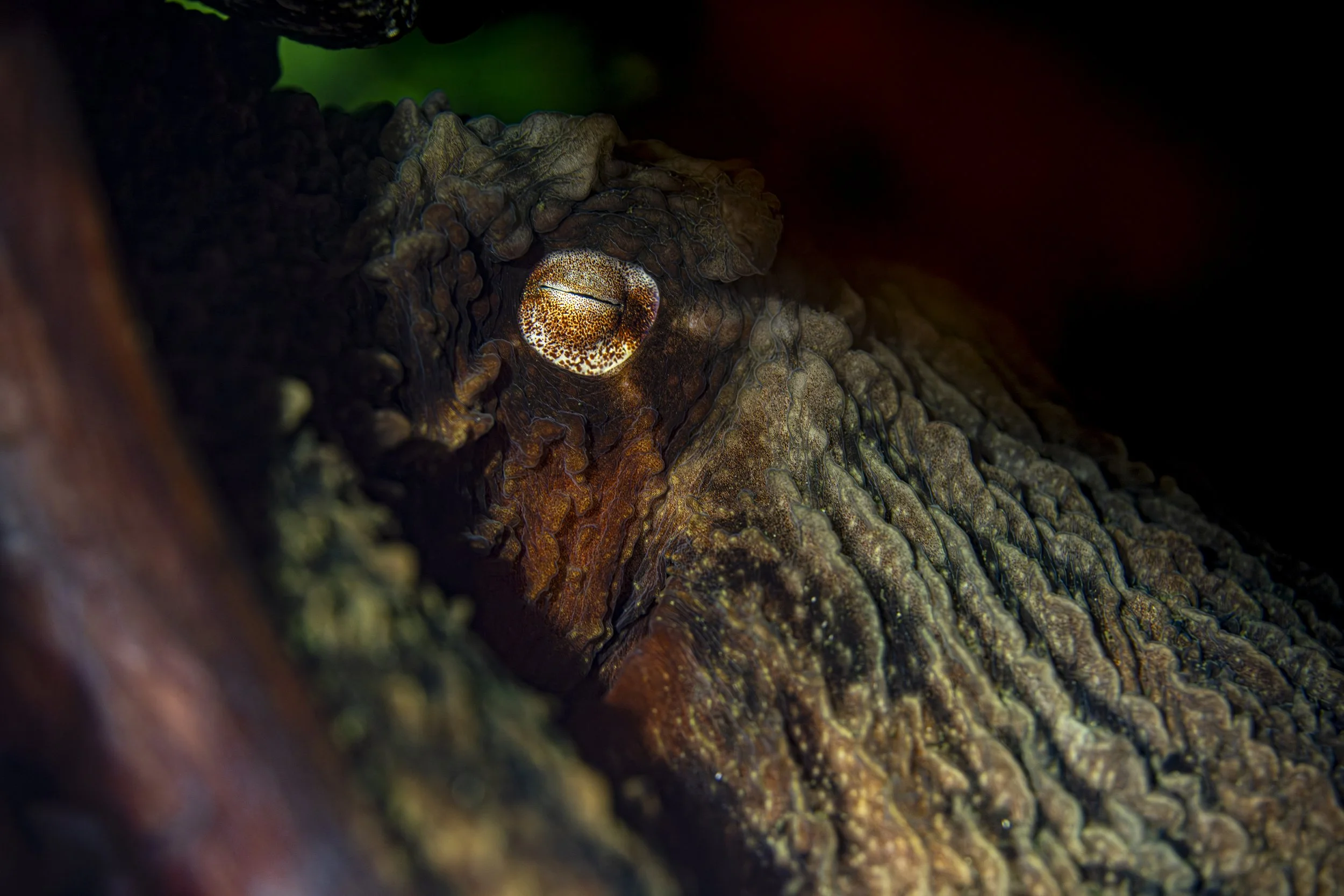 Washington State-6.jpg