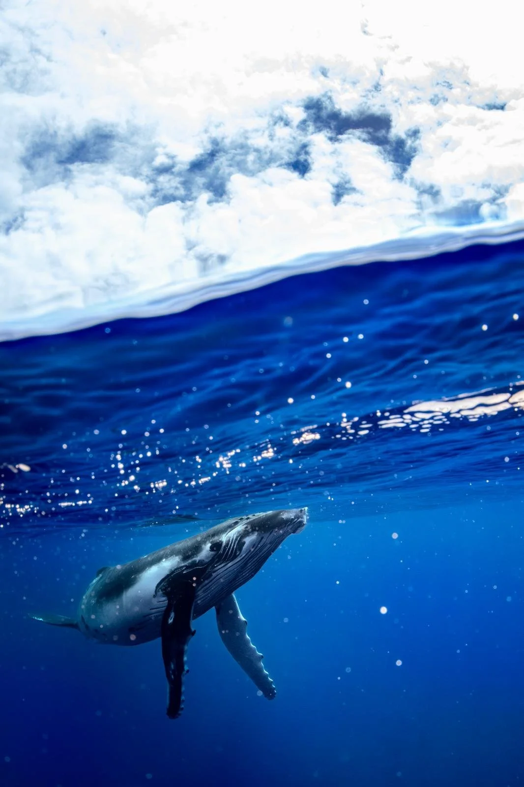 WhatsApp Image 2025-11-09 at 21.31.58_e6c8ef60.jpg