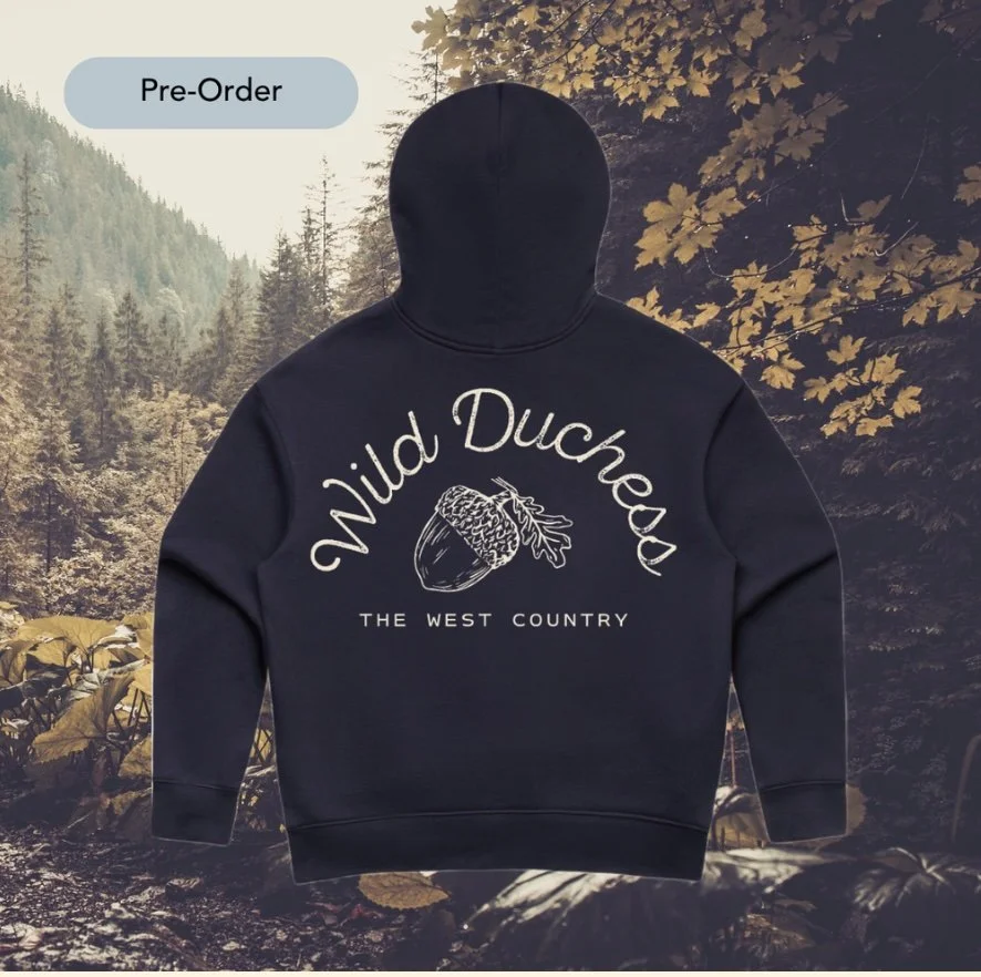 wdhoodies.jpg