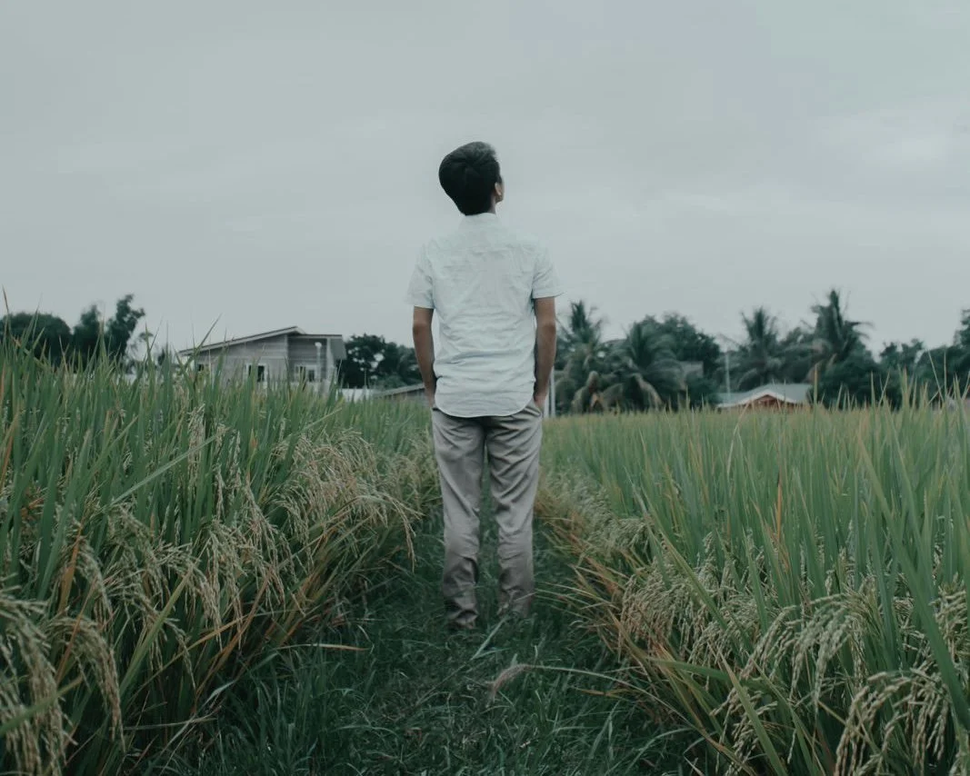 De Dónde Vendrá Mi Socorro