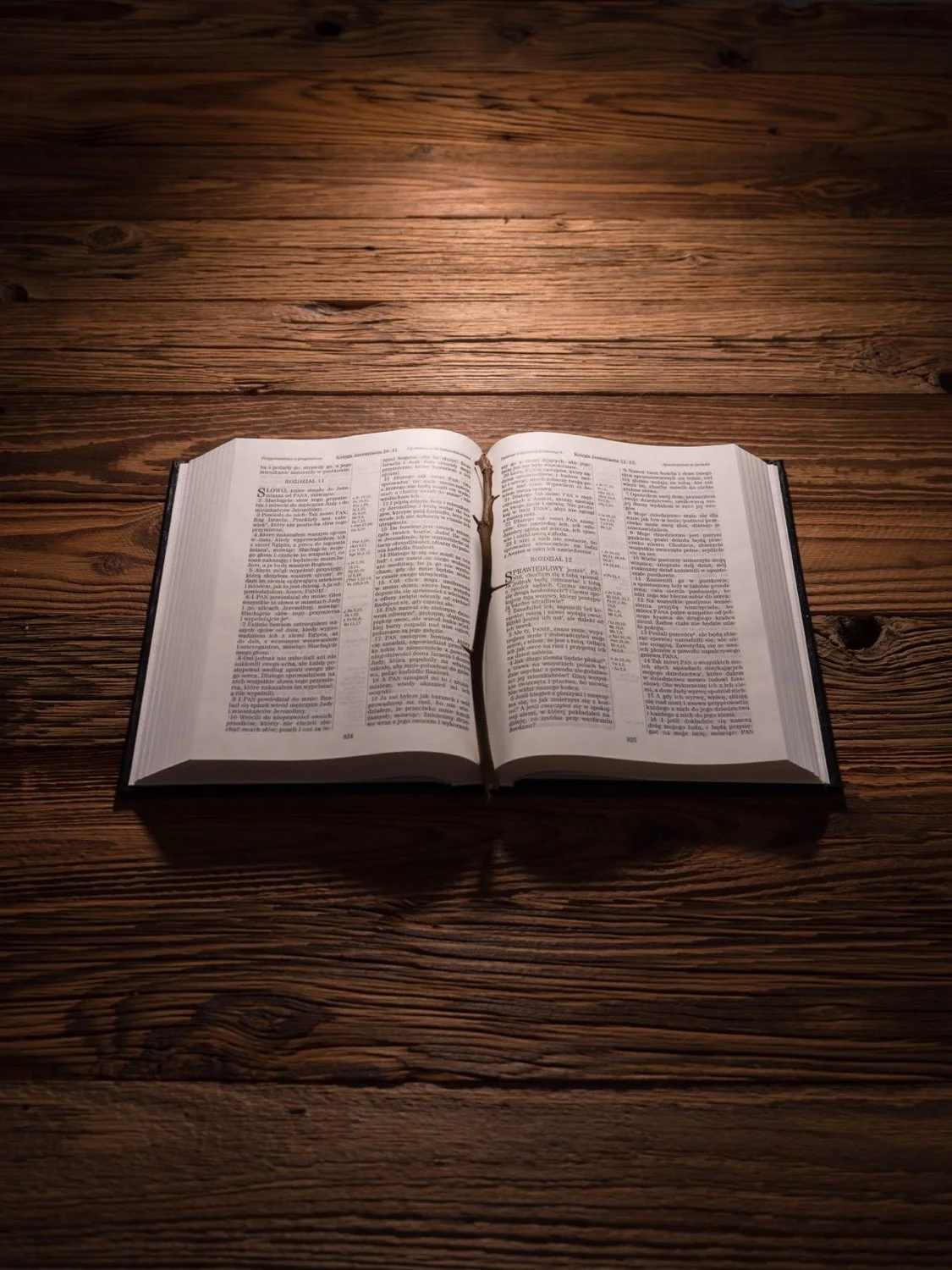 La Palabra Más Confiable