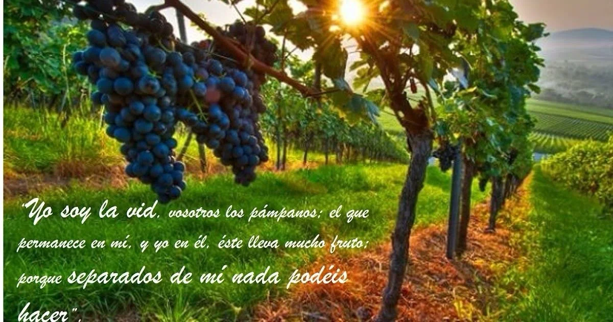 Apartados de Él nada podemos hacer