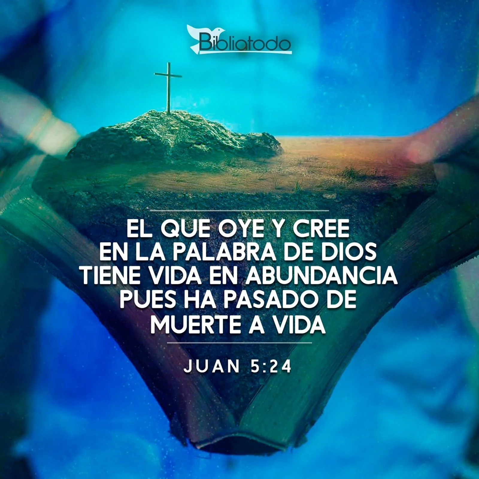 Vivir desde la plenitud de Cristo