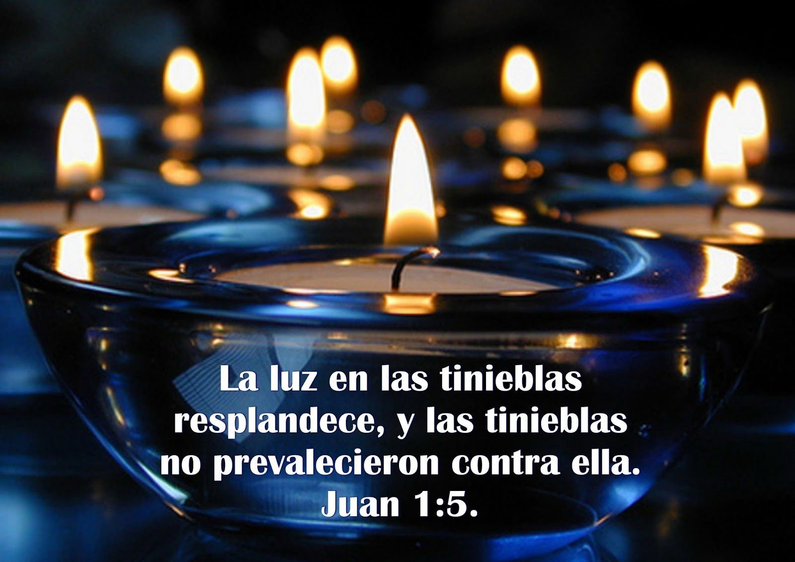 Sacados de las tinieblas del pecado a la Luz admirable de Jesús