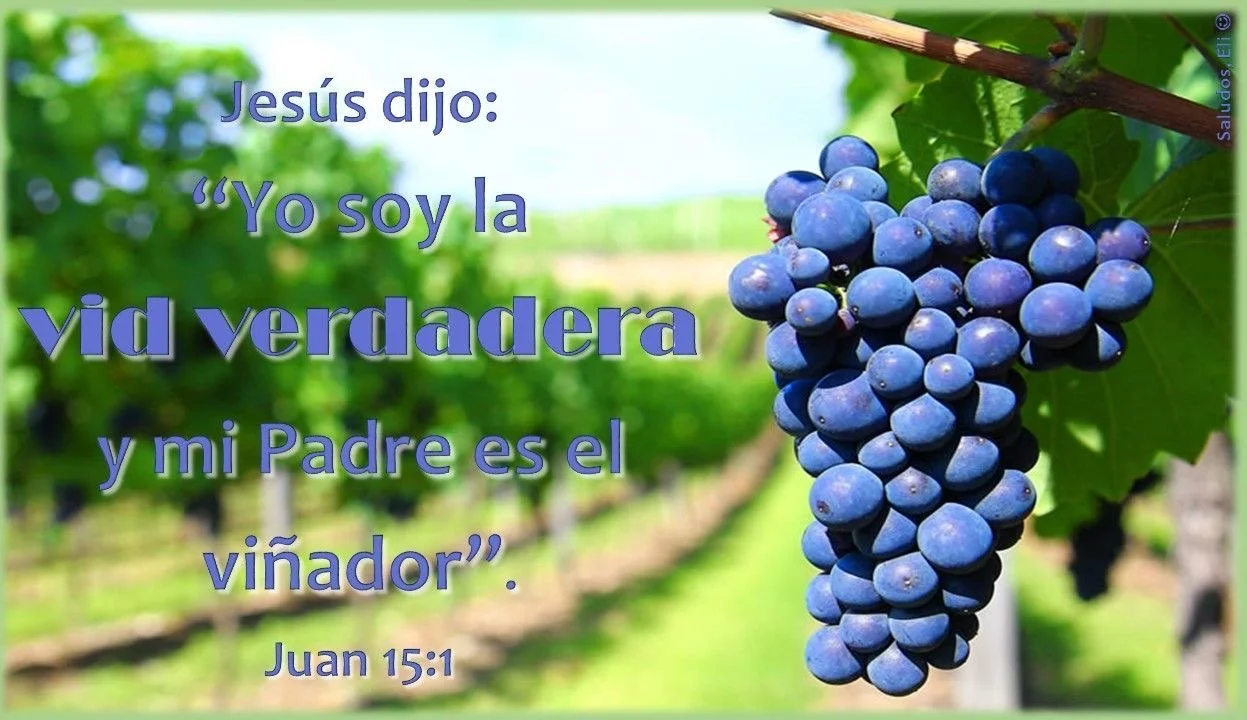 Somos ramas de la Vid Verdadera