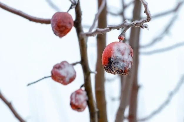 Puede producir frutos buenos un árbol envenenado?
