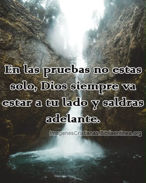 Las pruebas nos mantienen humildes