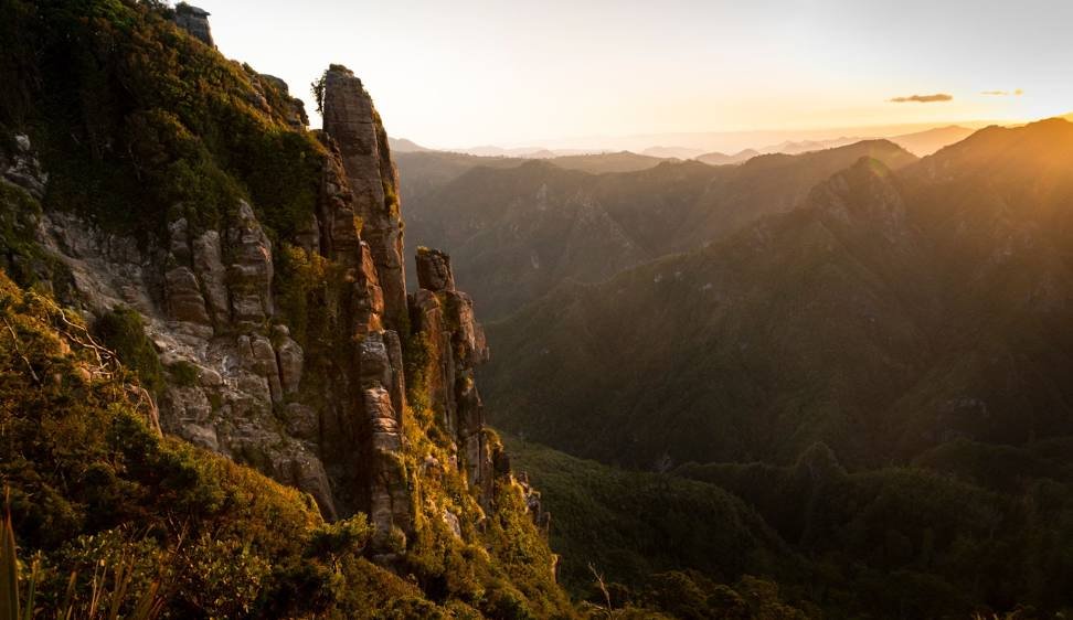 Small Steps Create Big Shifts 