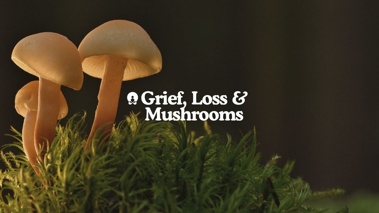 Grief, Loss, &amp; Mushrooms
