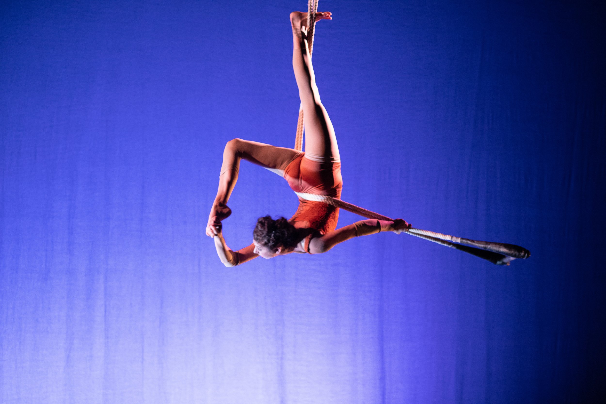 figtree2018-93.jpg