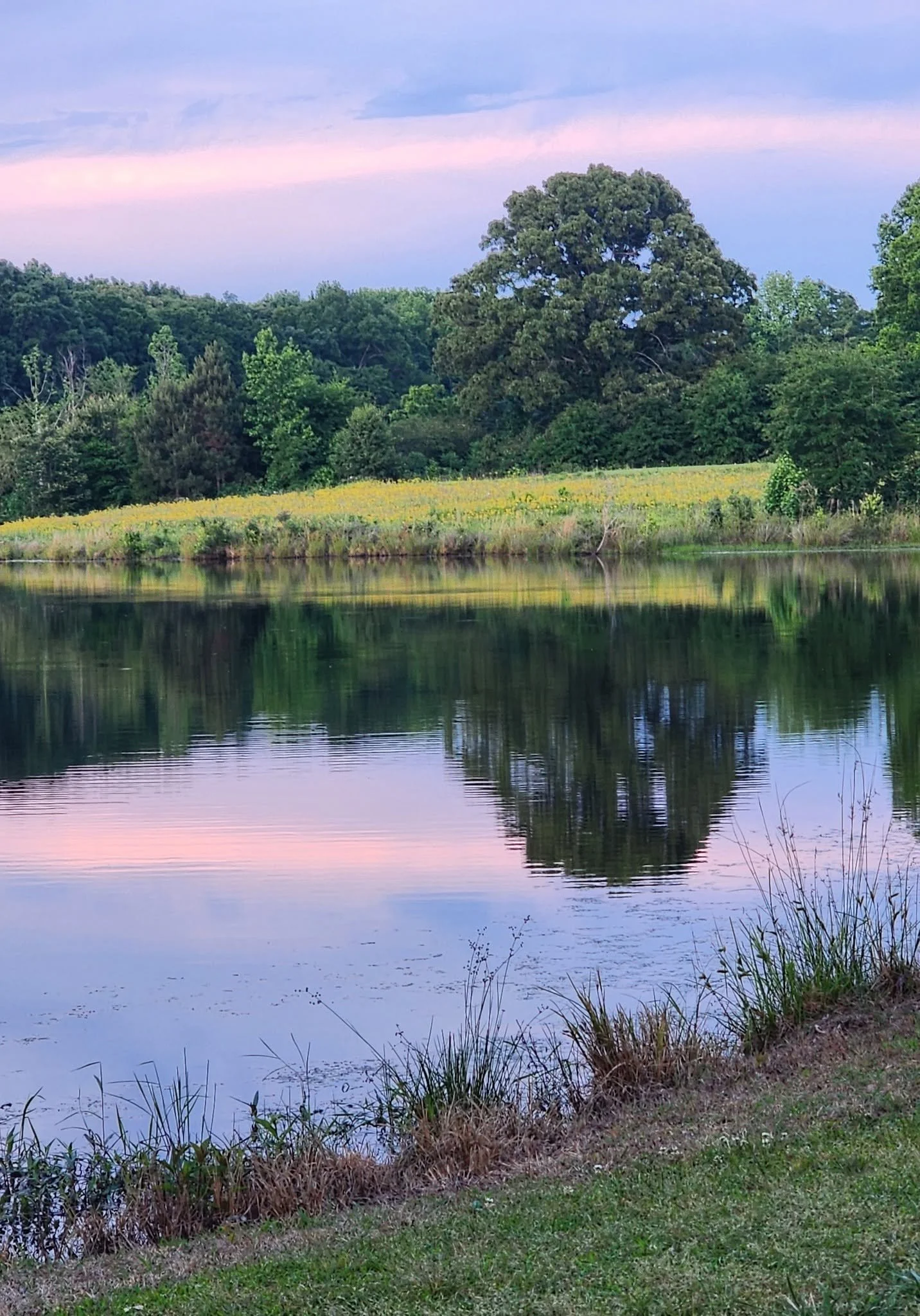 PHOTO OF THE DAY: Cotton candy skies reflected in the water. Danita Sivley Hargrove shared, "Photo taken while fishing at our family lake."