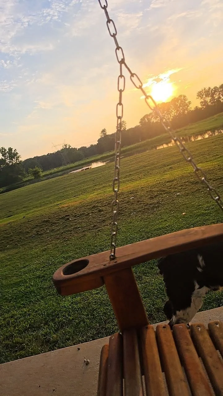 PHOTO OF THE DAY: Brittany Alana Cole shared, "Calm evenings enjoying God's creation! 😍"