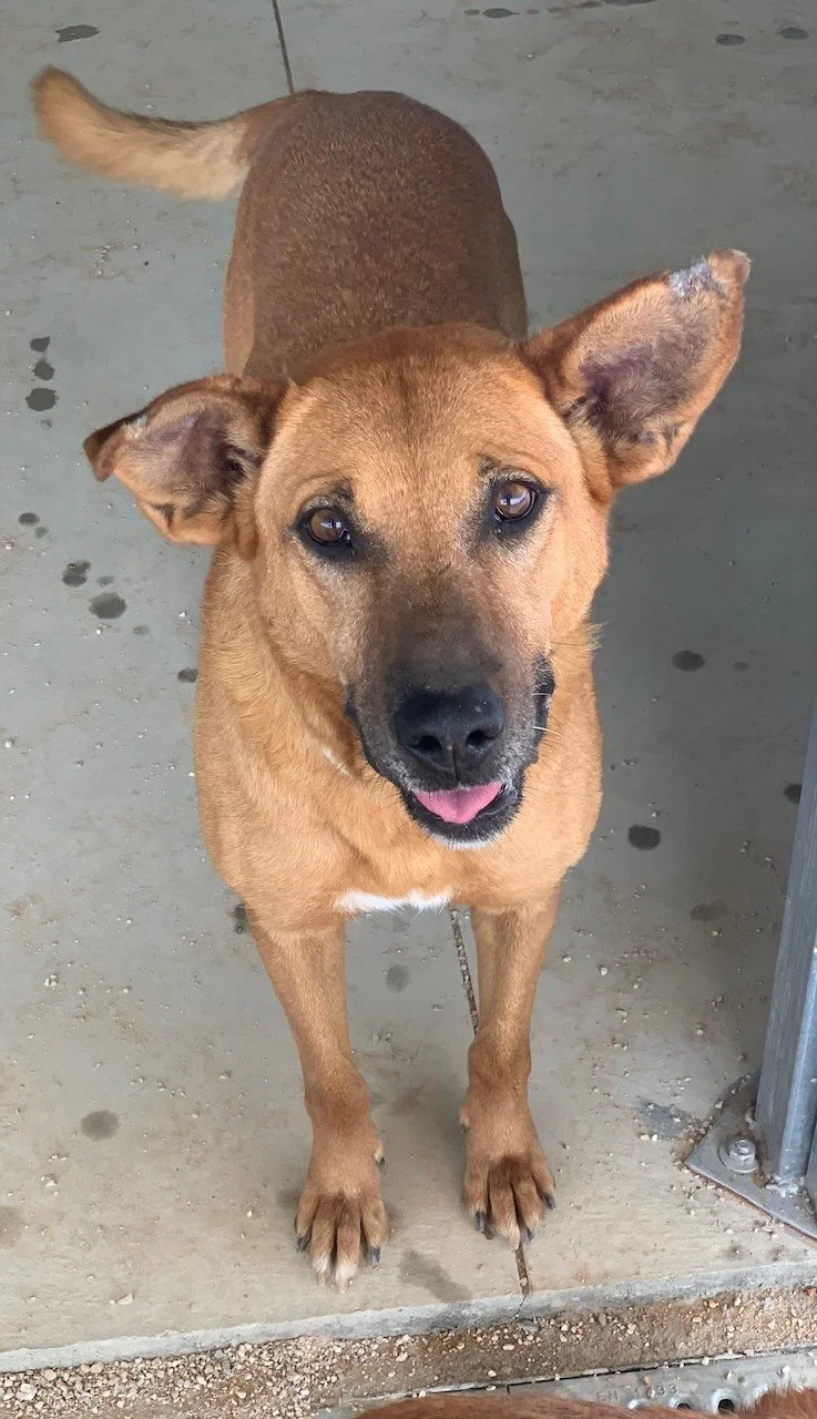 Zoe-TinyShelter - 3.jpeg