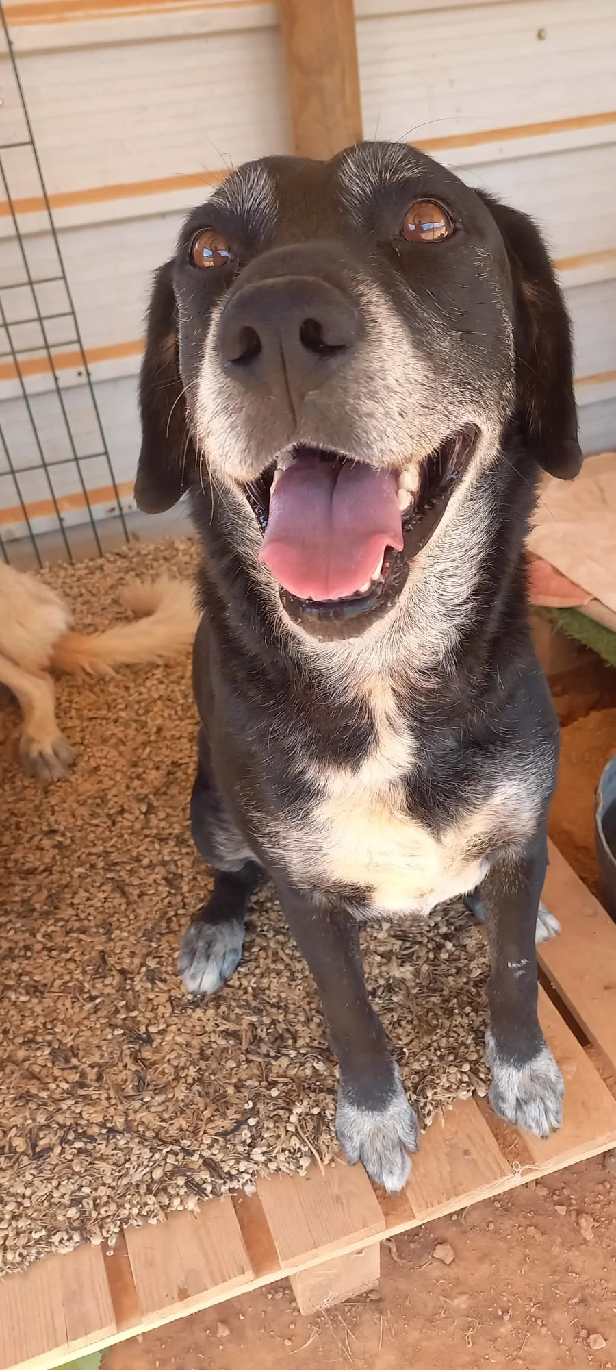 WhatsApp Image 2024-07-26 at 5.23.45 PM.jpg