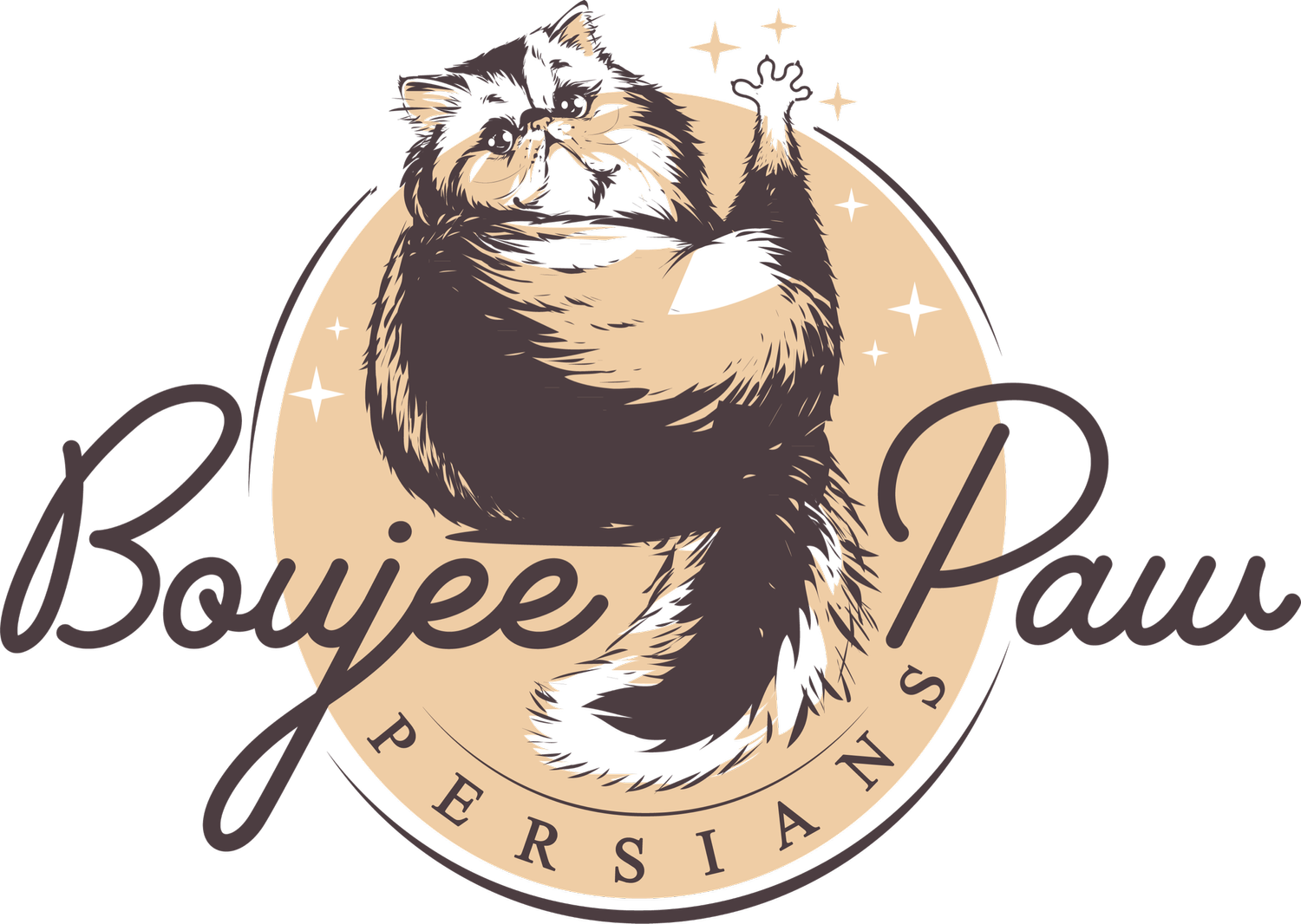 Boujee Paw Persians