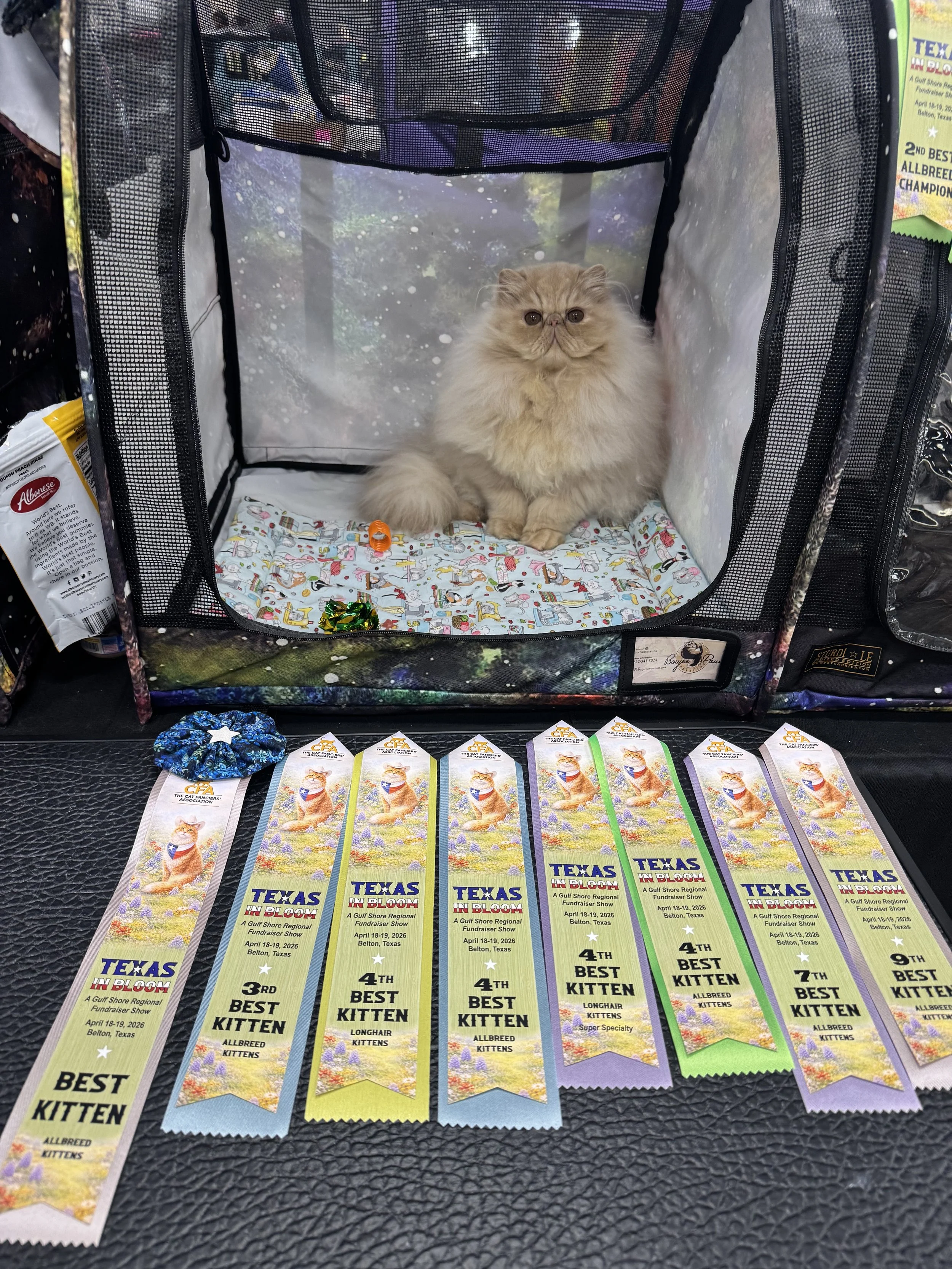 IMG_1037.jpeg