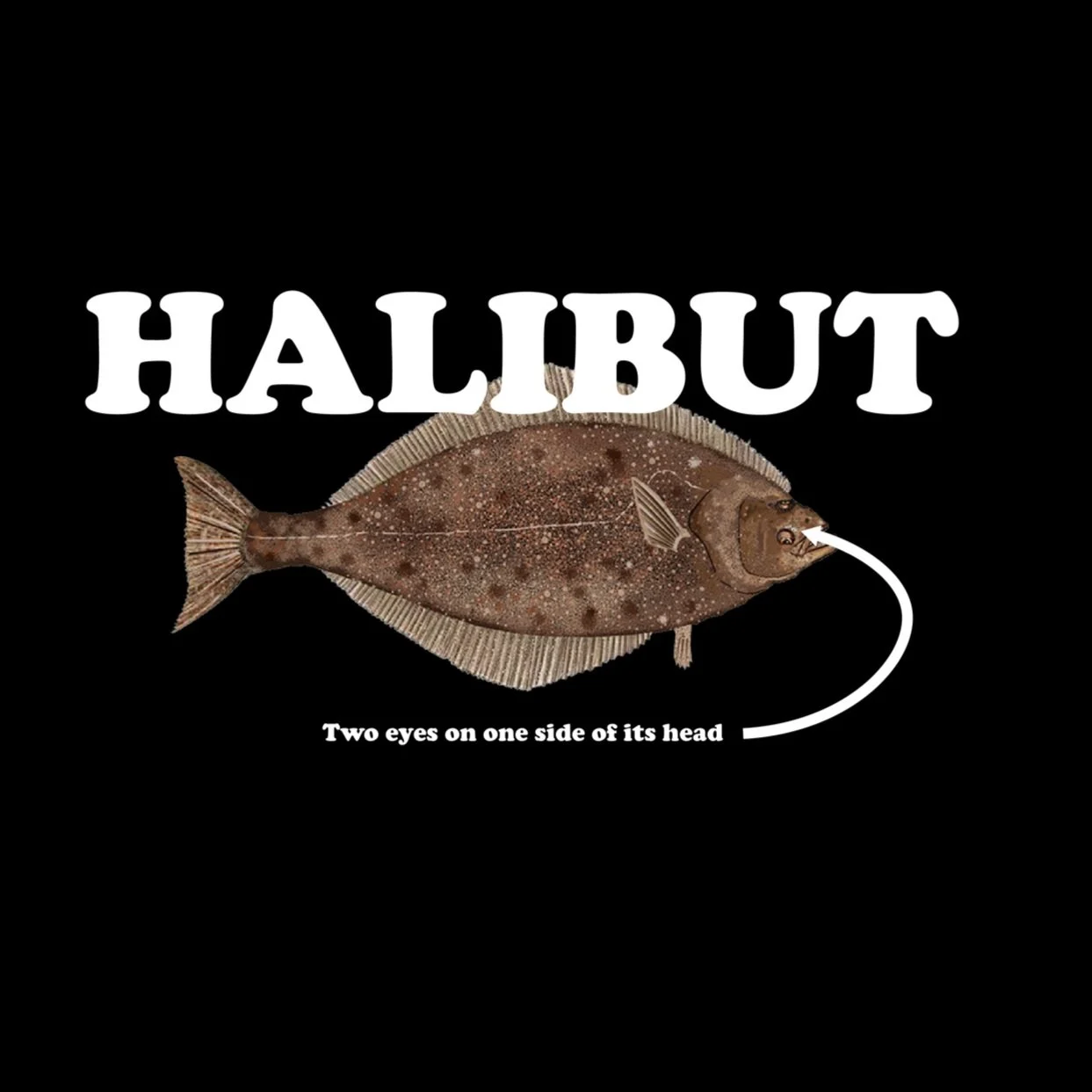 halibut.jpg