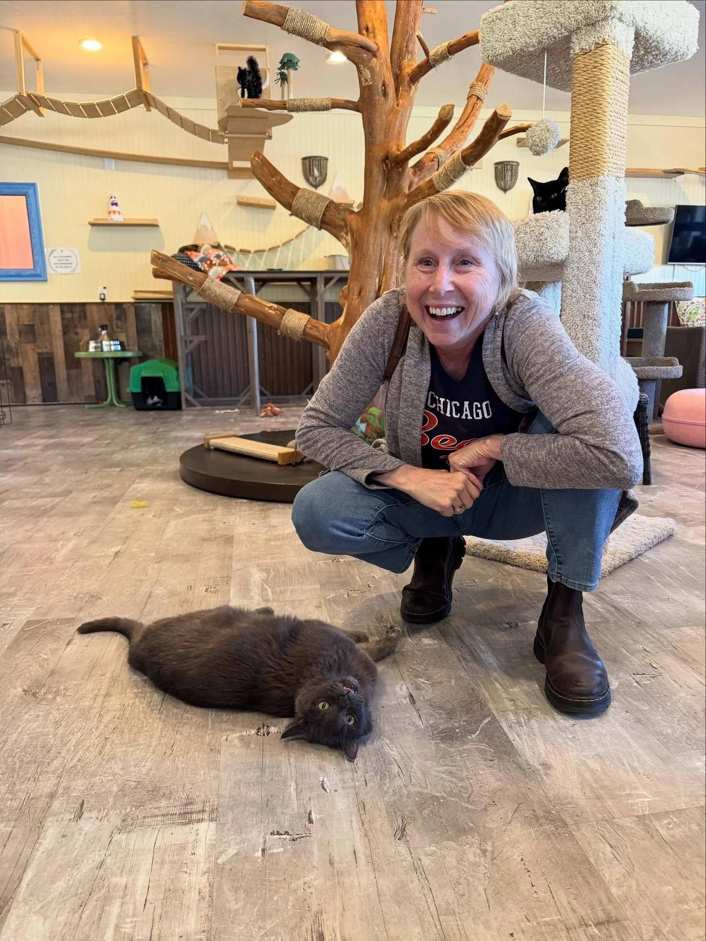 Every adoption tells a story — one of hope, love, and second chances. 💕
We’re endlessly grateful for each person who has opened their heart and home to one of our kitties. Every time a cat finds their forever family, it not only changes