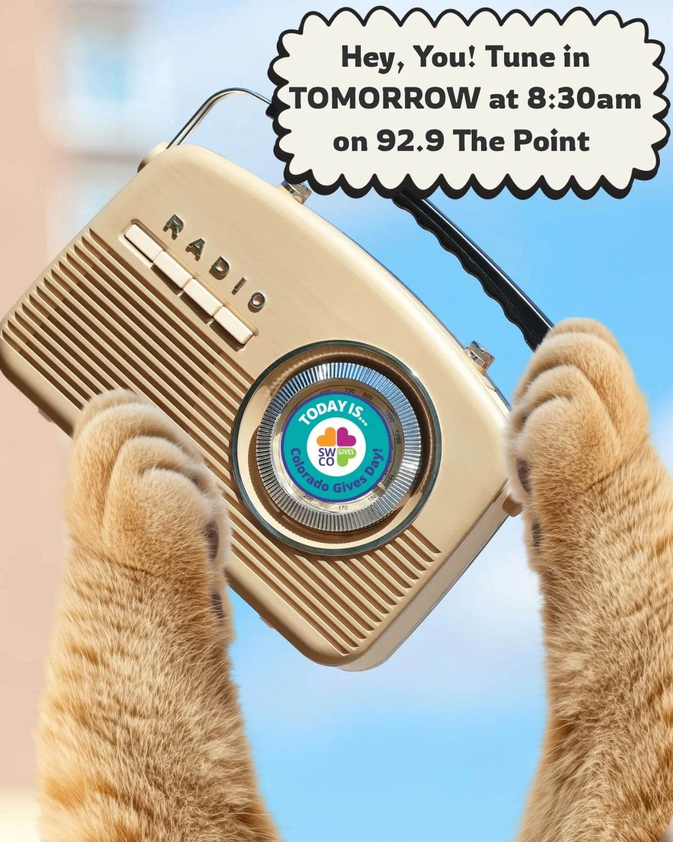 Tomorrow is Giving Tuesday!
Join us at 8:30am, when we&rsquo;ll be on the air with @929thepoint. We&rsquo;ll be sharing what&rsquo;s new at Cat Care Durango, how your support has helped more than 300 cats come through our rescue and sanctuary, and wh
