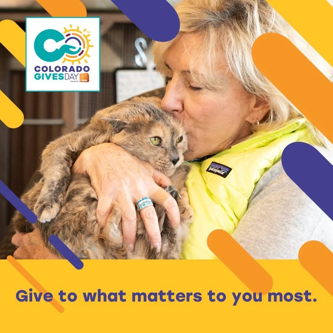 Today is Giving Tuesday.
What started in 2012 as a simple call to &ldquo;do good&rdquo; has grown into a global movement that inspires
people everywhere to lift up the causes they care about. And here in Durango, your generosity lands
right where it 