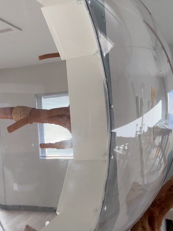 The big move is officially underway! As of today, we&rsquo;re closed for the remainder of the year while we transition into our new home. But! Here&rsquo;s another little sneak peek of the place we&rsquo;ll soon be calling home. 🐾

Thank you for you