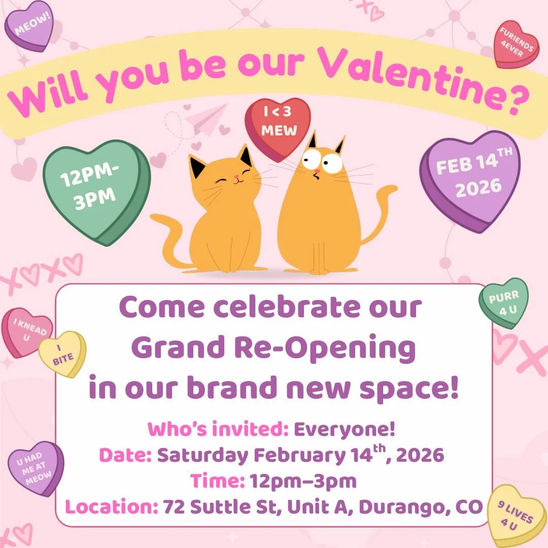 We&rsquo;re head-over-paws excited to invite you to the Grand Re-Opening of our brand new Cat Care Durango location on Valentine&rsquo;s Day! This celebration also marks the start of our third year of caring for cats, and there&rsquo;s no better way 