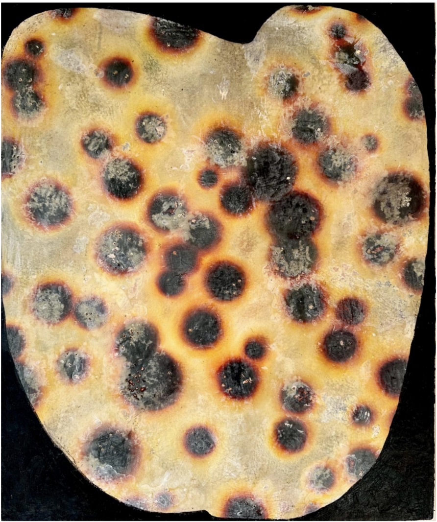 Julia Hames, “Cypraea”, Pigment, Oil, Wax, and Hide Glue on Canvas, 22” x 19”, 2026
