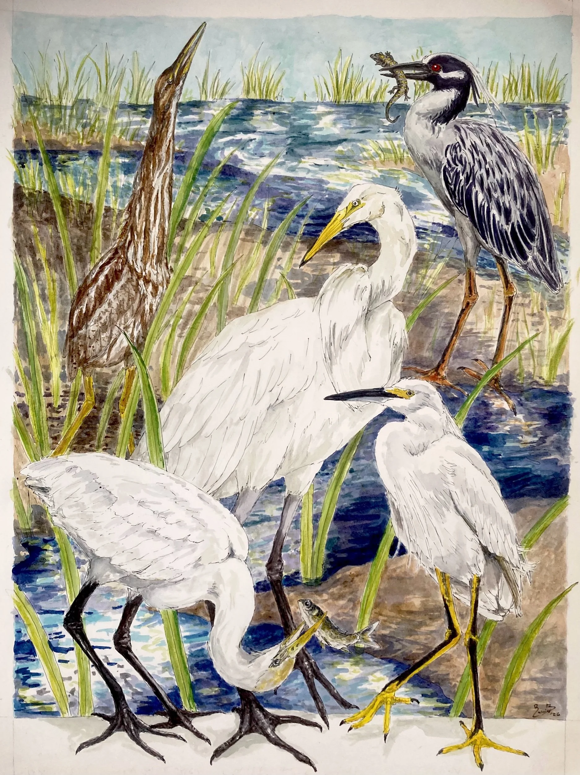 Rainier Bernhardt, “Egrets”, Watercolor on Rag Paper, 18 x 24” 2026