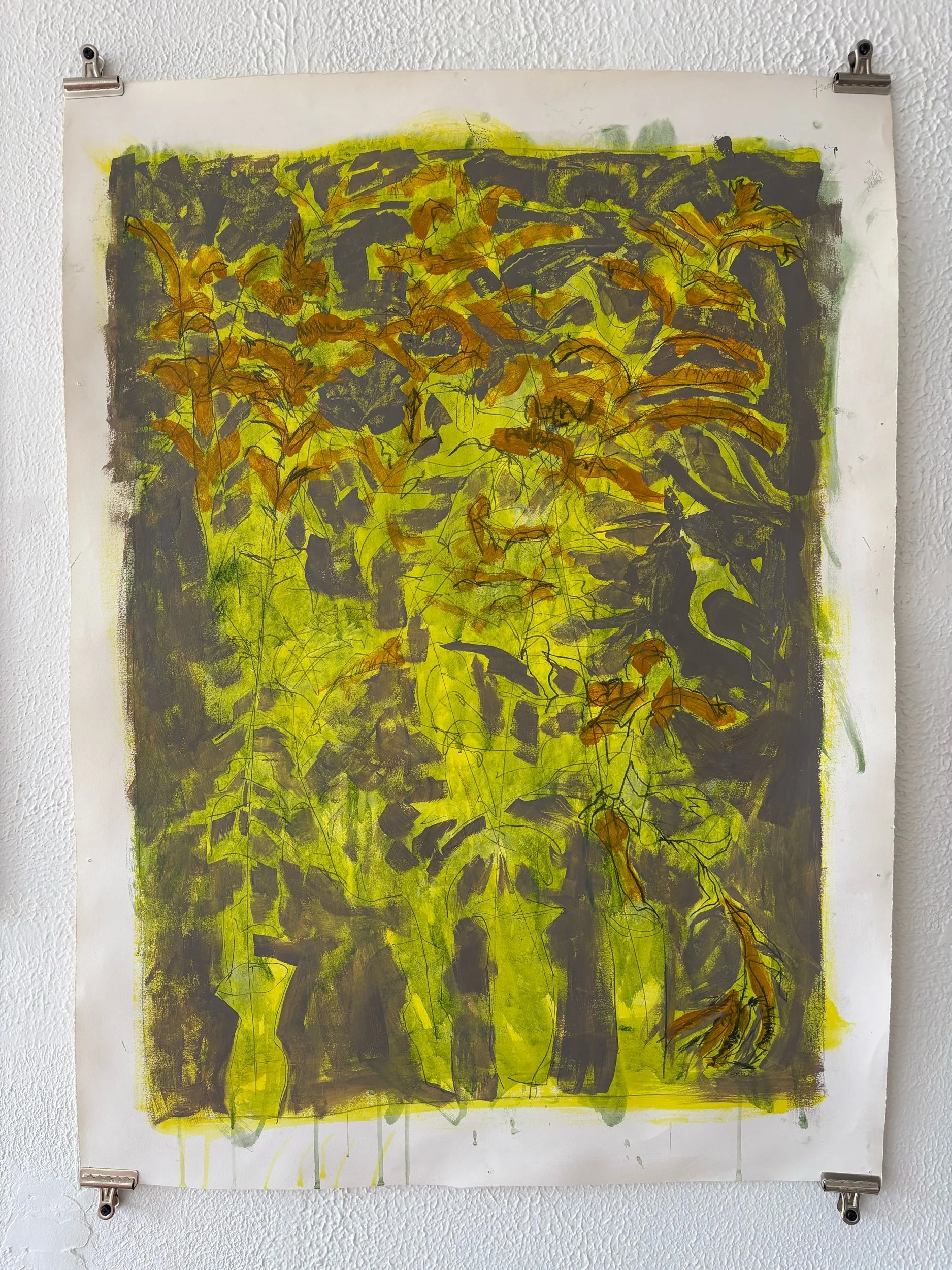 Victoria Brill, Golden Rod, Acrylic and Graphite on 100% Rag Paper, 29 x 37”, 2026