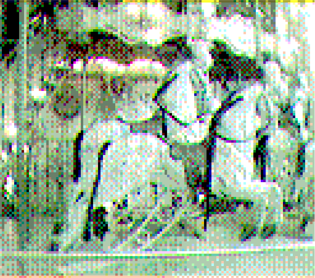 James Scott, Carousel of Warhorses for Battle, 12,  Inkjet Prints on Acetate, Magnets, Nails,  8.5 x 9.75 “, 2026