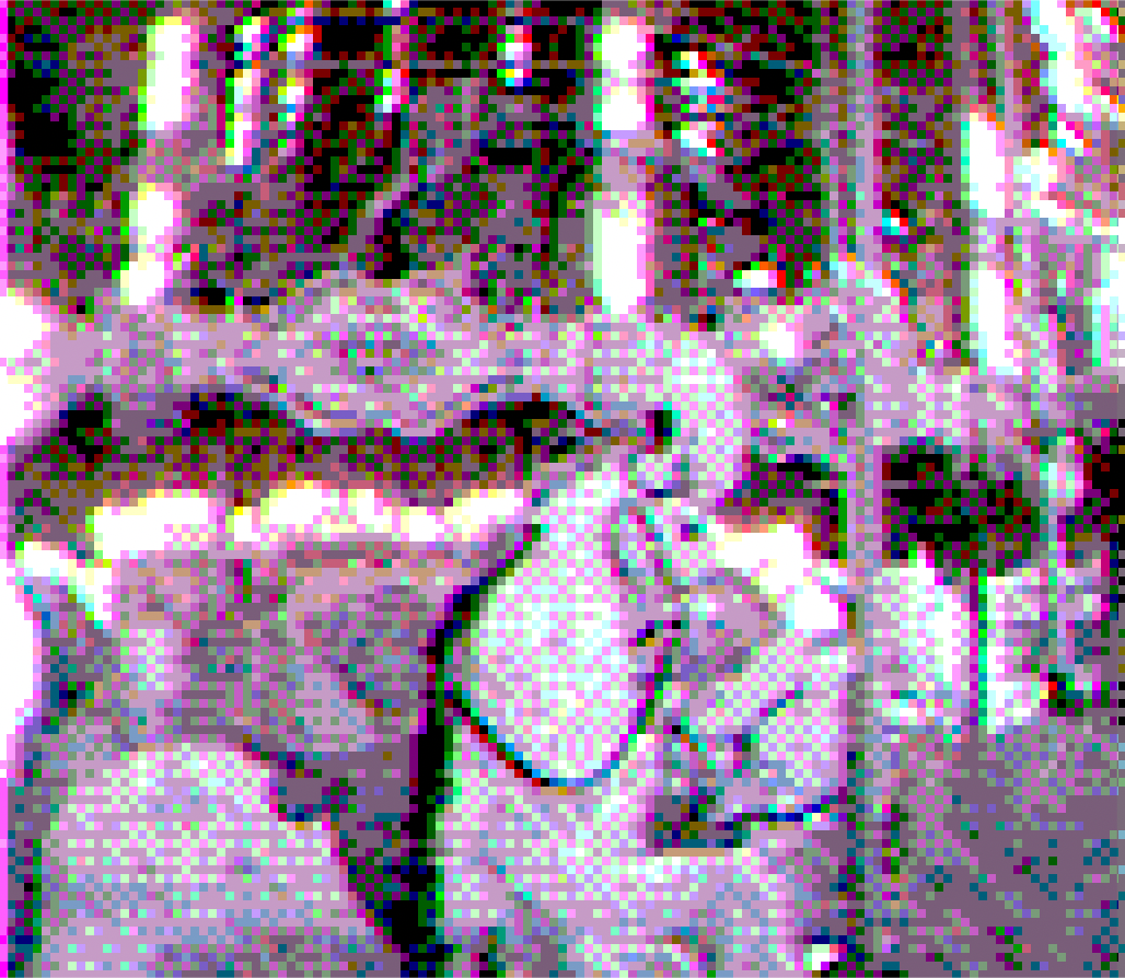 James Scott, Carousel of Warhorses for Battle, 3,  Inkjet Prints on Acetate, Magnets, Nails, 8.5 x 9.75 “,  2026