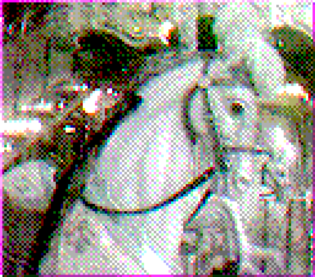 James Scott, Carousel of Warhorses for Battle, 6,  Inkjet Prints on Acetate, Magnets, Nails, 8.5 x 9.75 “,  2026