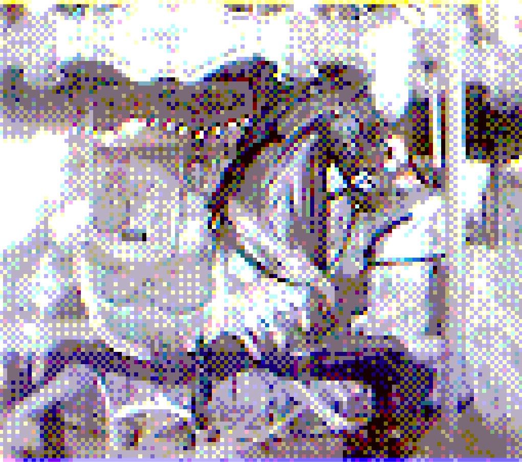 James Scott, Carousel of Warhorses for Battle, 10,  Inkjet Prints on Acetate, Magnets, 8.5 x 9.75 “, Nails, 2026