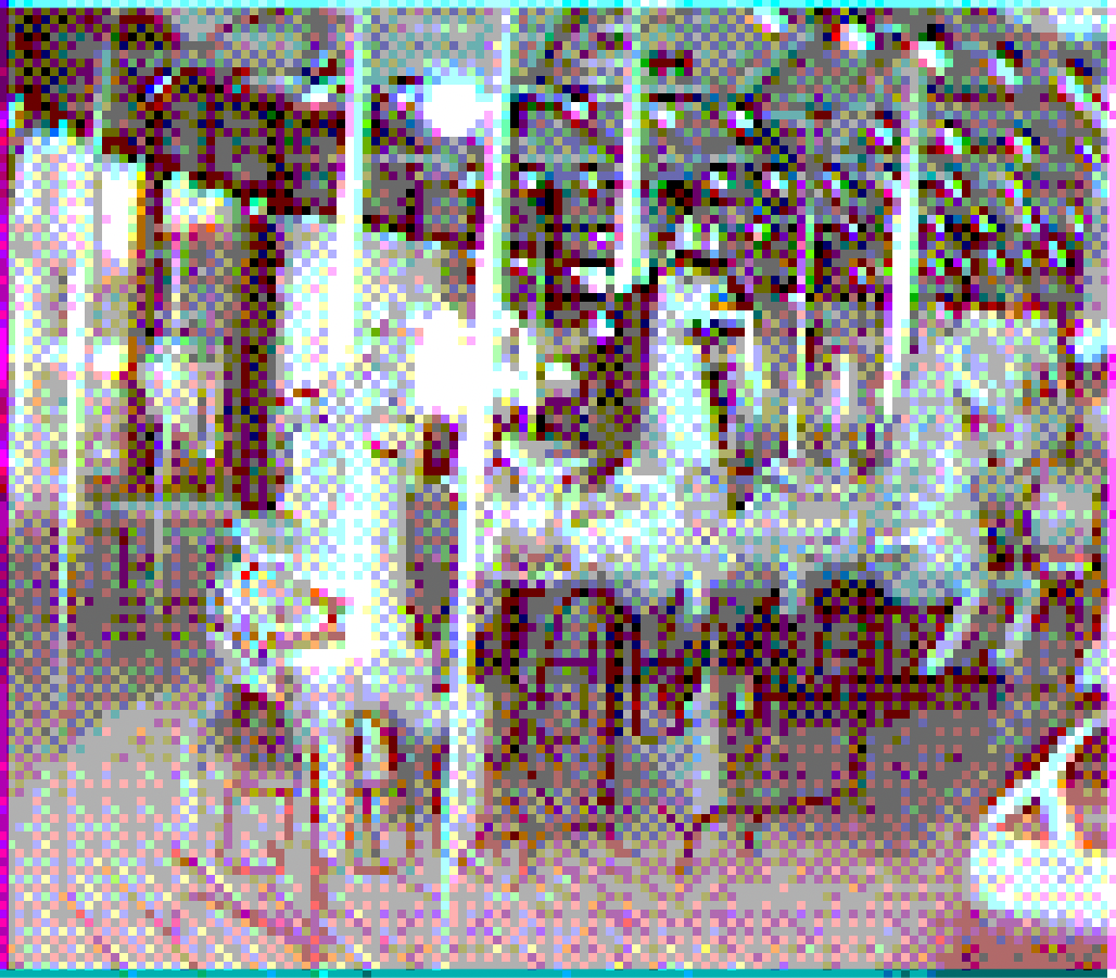 James Scott, Carousel of Warhorses for Battle, 13,  Inkjet Prints on Acetate, Magnets, Nails, 8.5 x 9.75 “, 2026