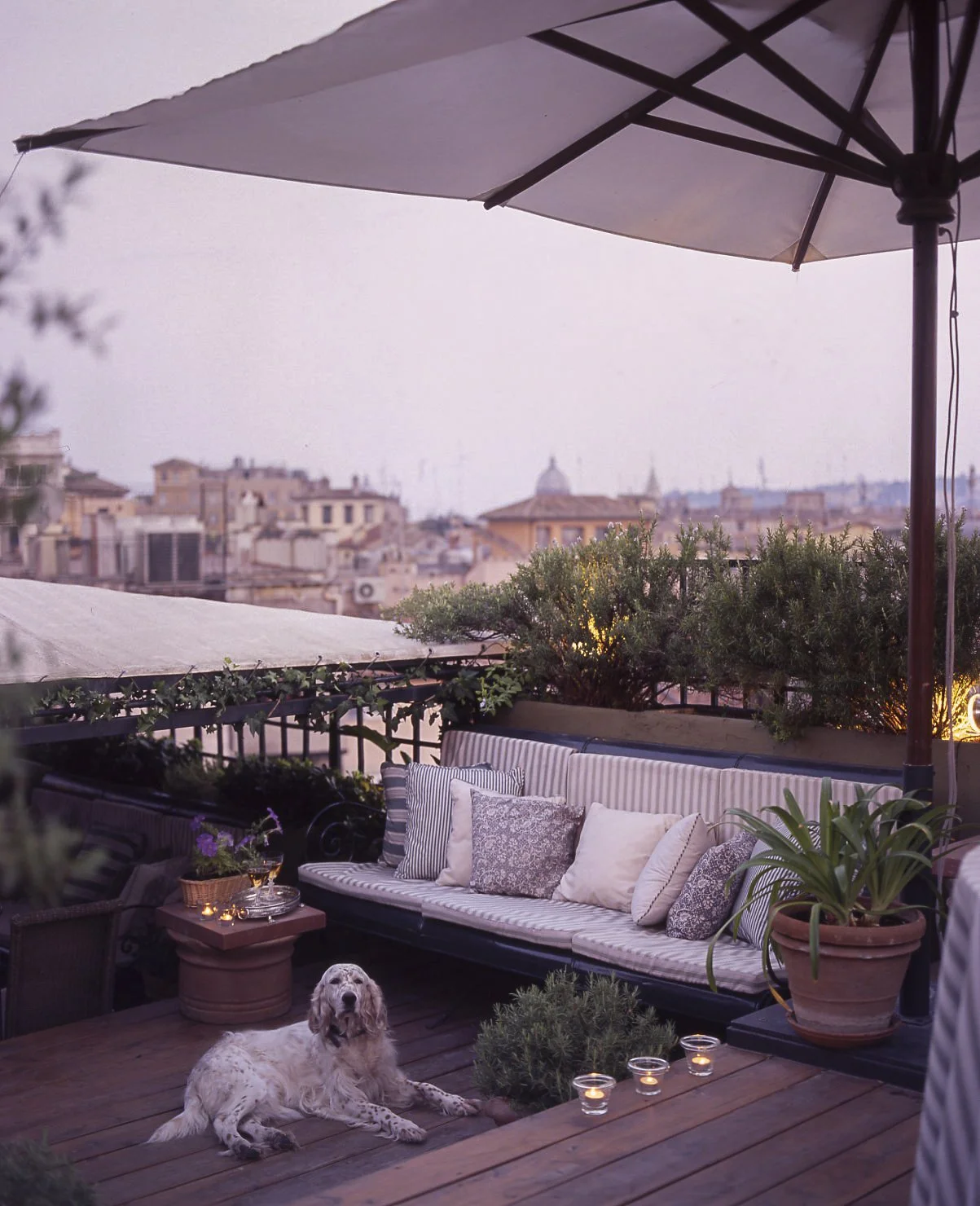 A cozy rooftop terrace with outdoor seating, potted plants, a large umbrella, and a dog lying on the wooden deck, overlooking a cityscape at dusk.