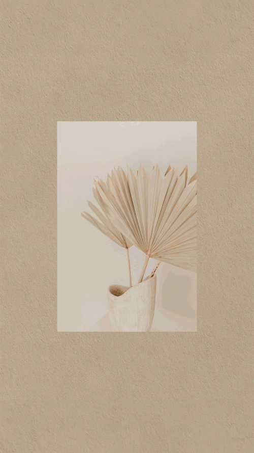 bali-garden-matakana-branding-galerie-design-studio