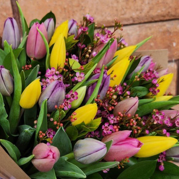 Screenshot 2026-03-05 084131.jpg