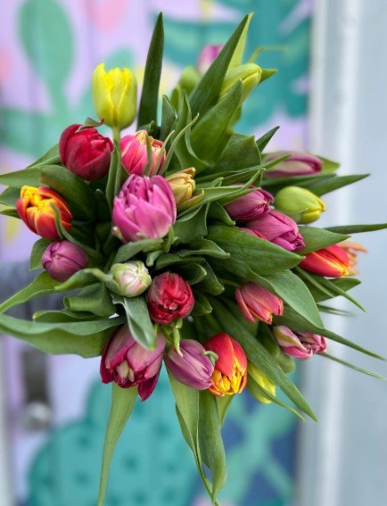 Screenshot 2026-03-05 084954.jpg