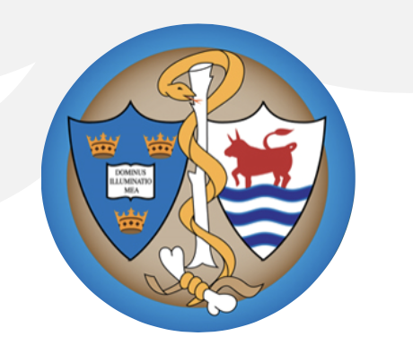 Screenshot 2024-11-30 at 10.40.19 pm.png