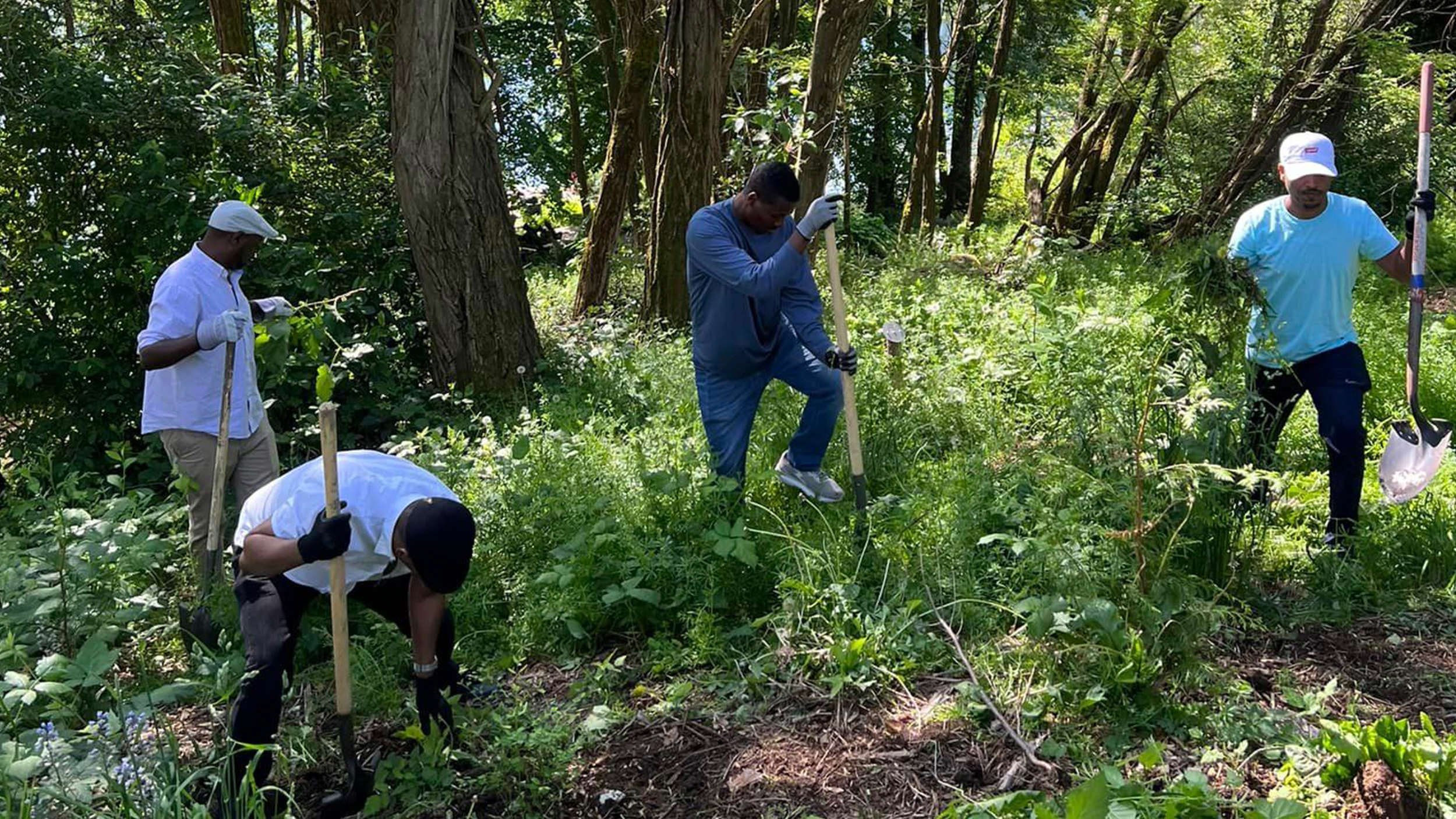 Serve Ethiopians Washington Volunteers pariticipating in environmental stewardship program