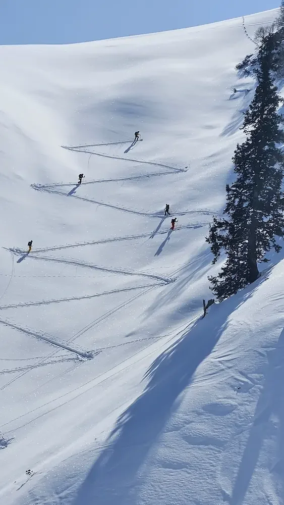 Uphill skin track in Kashmir